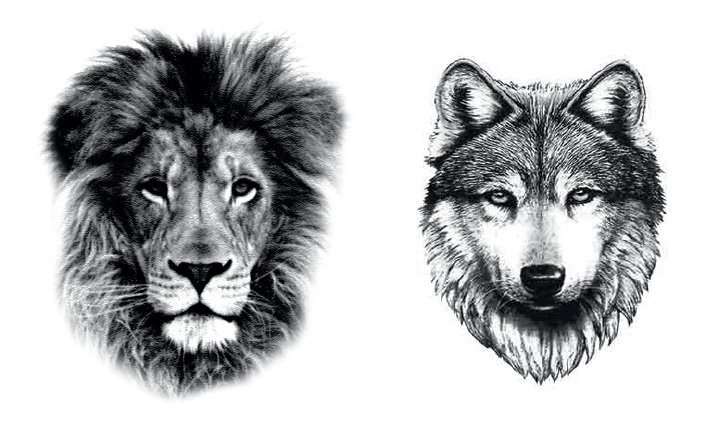 Lion Wolf Tattoo X2 - Small Wolf Head Tattoo (910x1080), Png Download