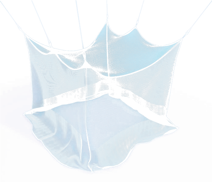 Charity Gift- Mosquito Net - Net (834x606), Png Download