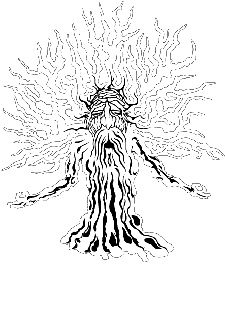 Forestdelicwhite - Sketch (648x889), Png Download