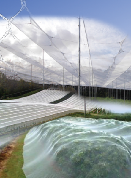 Bird Netting - Suspension Bridge (1000x600), Png Download
