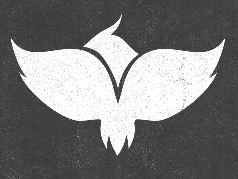 Phoenix Phoenix Wings Bird Texture Venture Ventureexpeditions - Emblem (800x600), Png Download