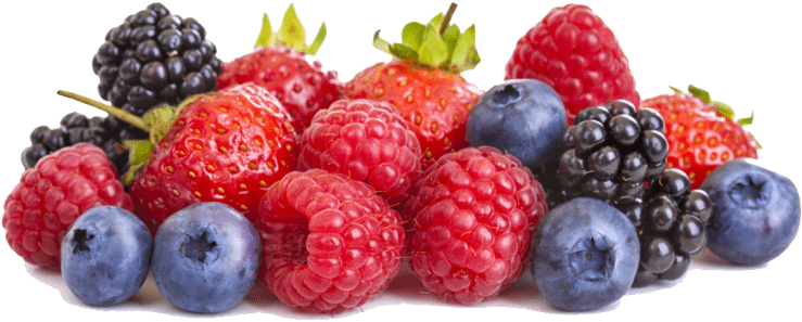 Free Png Berries Png - Berries Png (850x539), Png Download