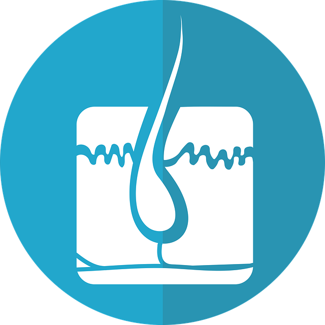 Hair Follicle Png (640x640), Png Download