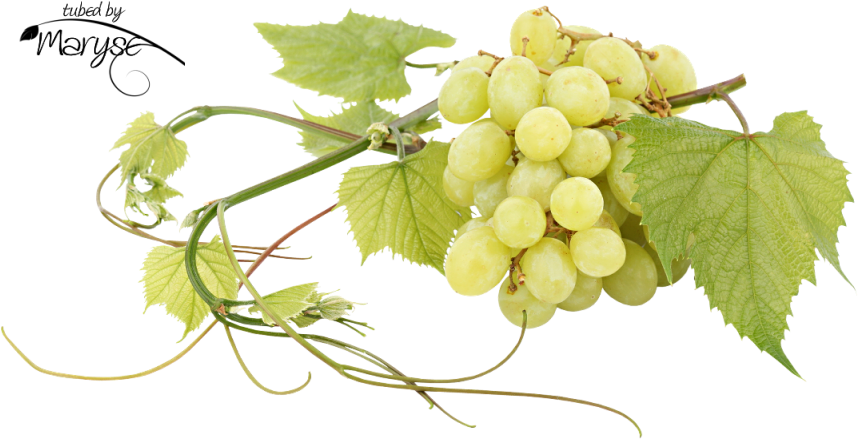 Mr Grappe De Raisins - Cocktail (930x469), Png Download