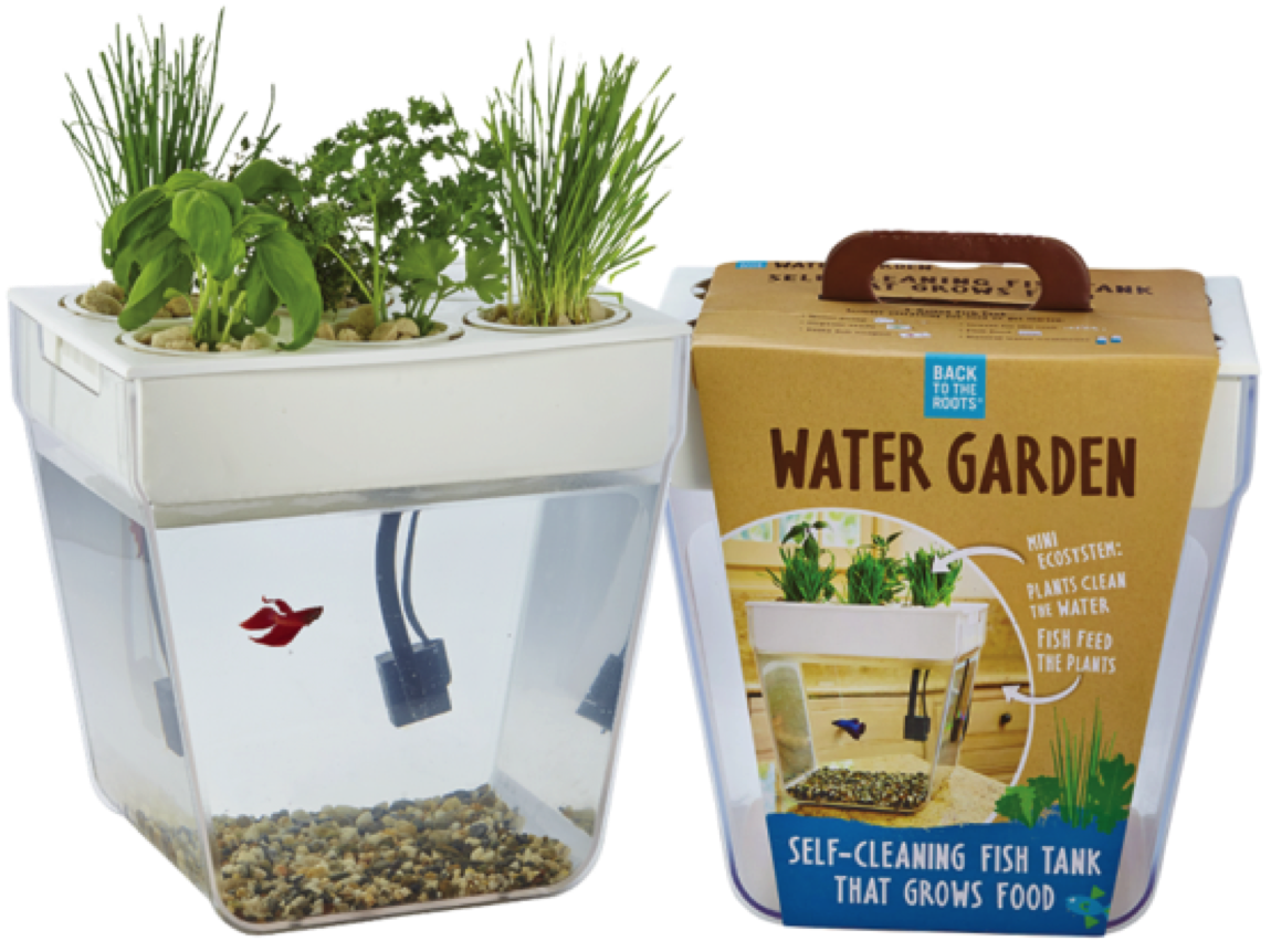 Water Garden Fish Tank (1150x862), Png Download