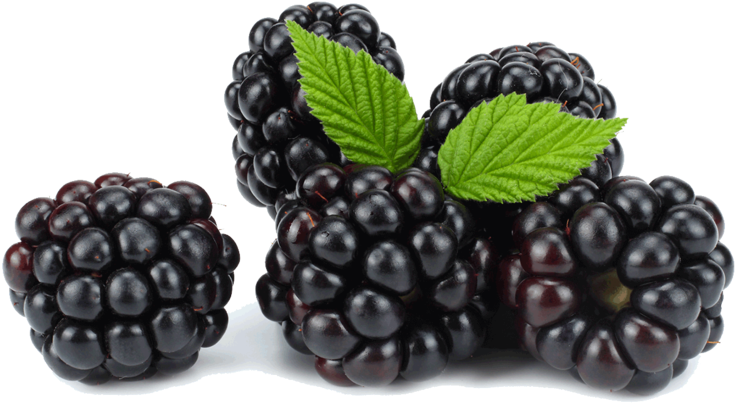 More - Blackberry (750x500), Png Download