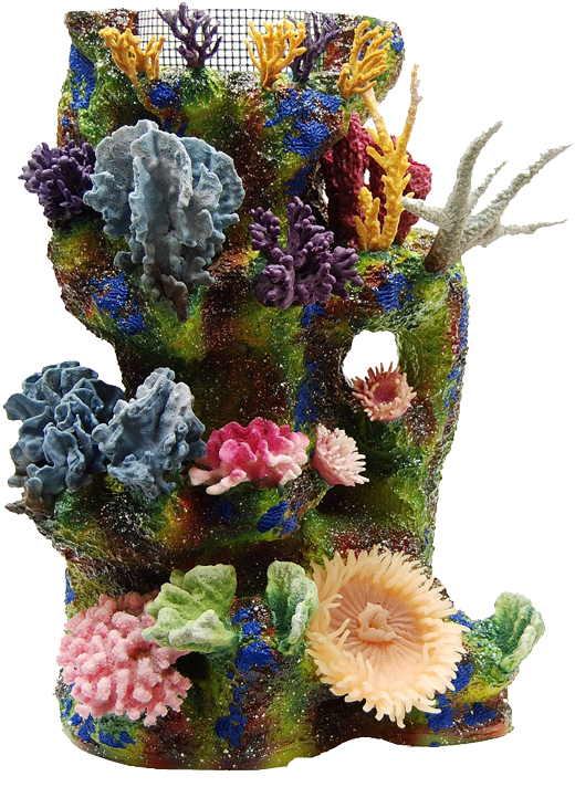 Drawn Coral Reef Fish Tank Background - Transparent Coral Reef (570x750), Png Download