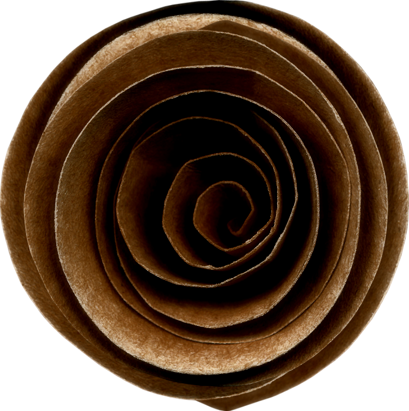 Scrap, Objetos Png, Para Hacer Decoraciones - Garden Roses (813x816), Png Download