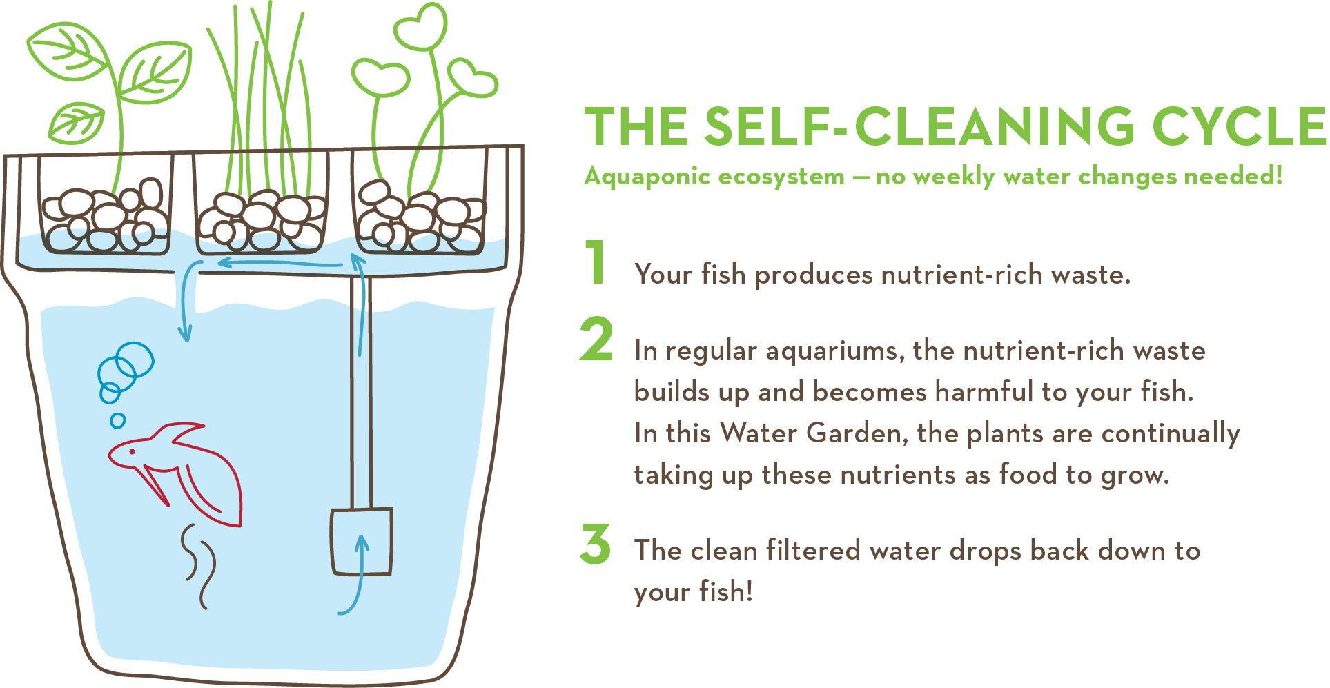 Back To The Roots Self-cleaning Fish Tank Herb Garden - Diagram (1927x997), Png Download