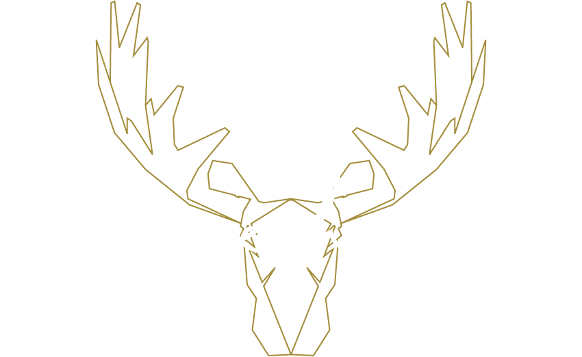 Moosehead Creative Solutions - Drawing (850x522), Png Download