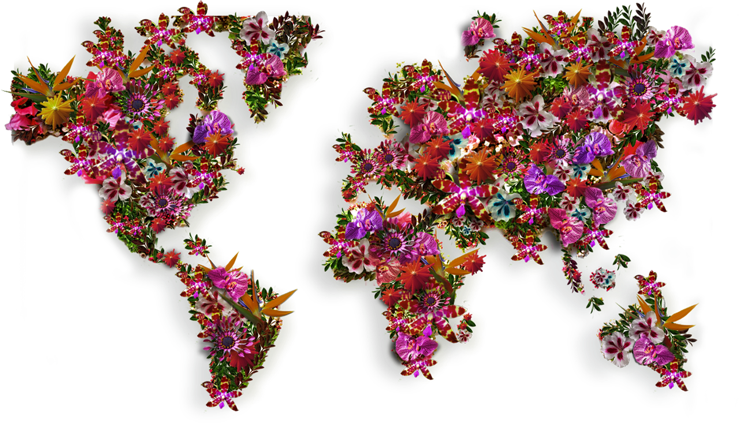 Contacts-bg - Moss World Map Art (1920x858), Png Download