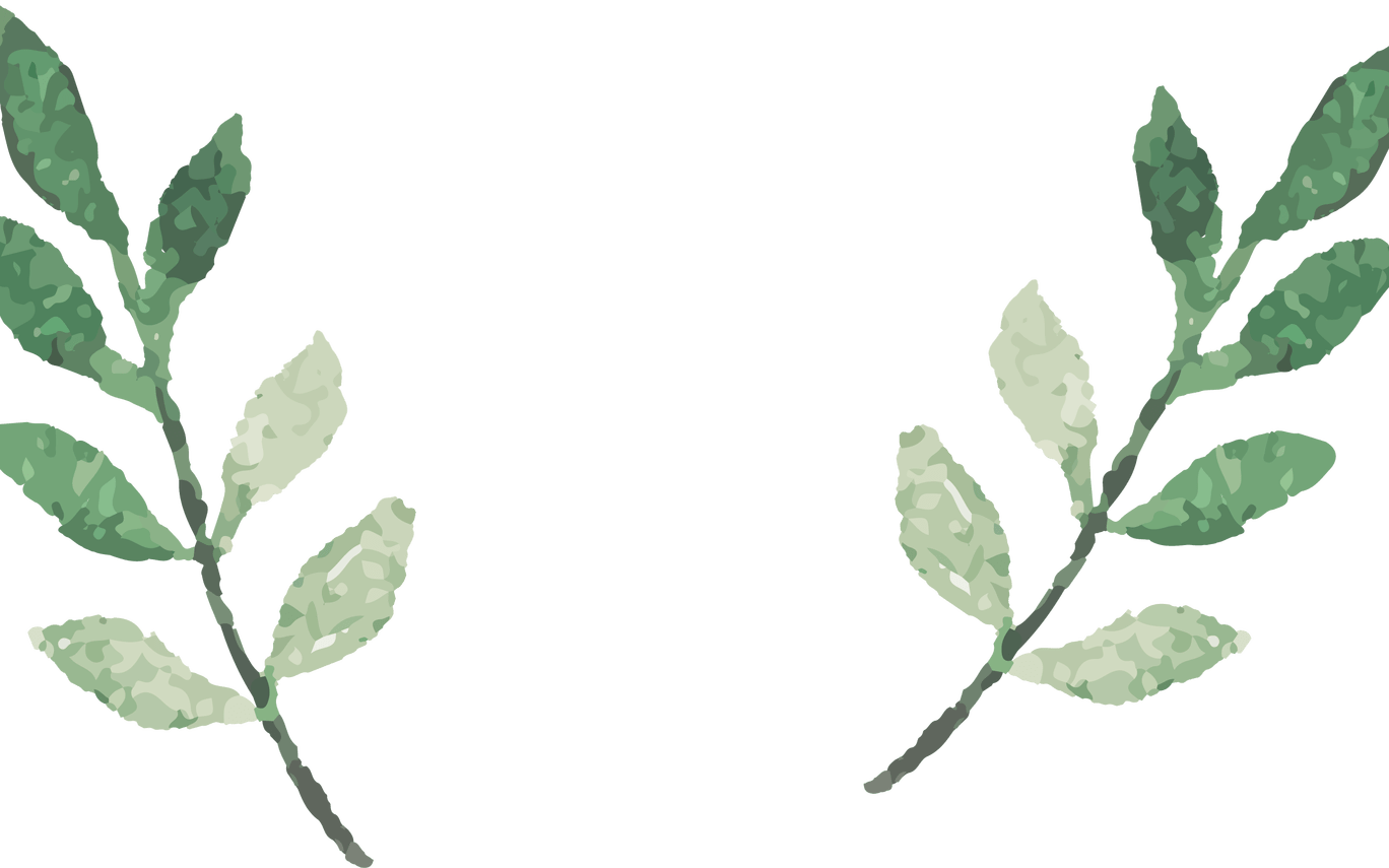 Watercolor Leaves Vector 2578*1519 Transprent Png Free - Watercolor Leaf Png Vector (1368x855), Png Download