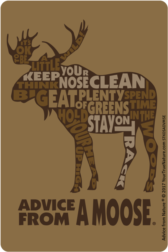 Membership - Reindeer (672x960), Png Download