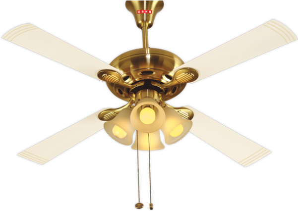 Usha Fan With Light (600x750), Png Download