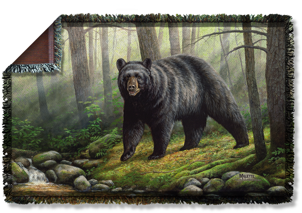 Bear (1000x1000), Png Download