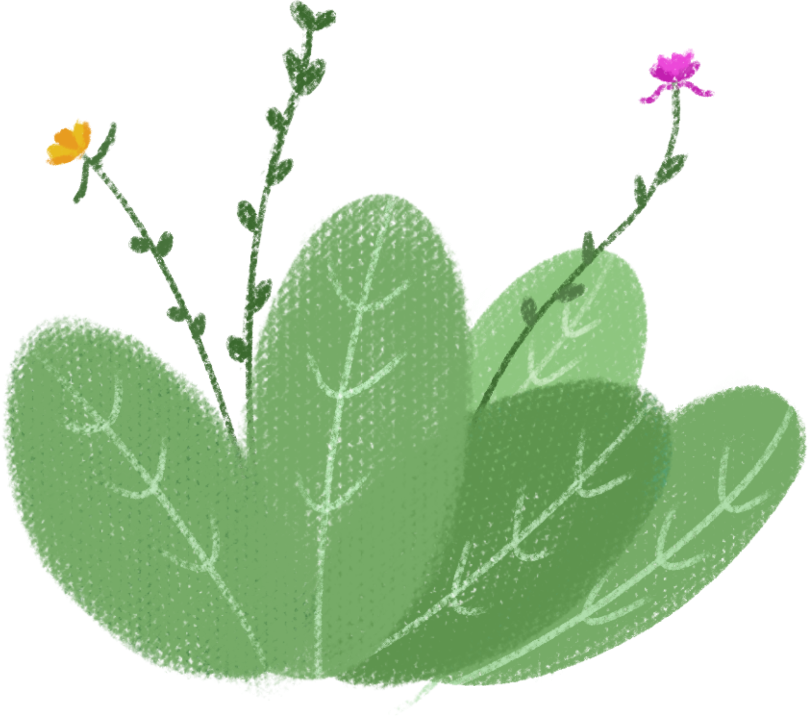 Leaves Hand Drawn Cute Cartoon Png And Psd - Illustration (2000x2000), Png Download