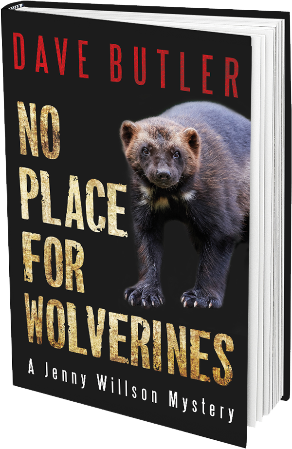 About No Place For Wolverines - Grizzly Bear (688x962), Png Download