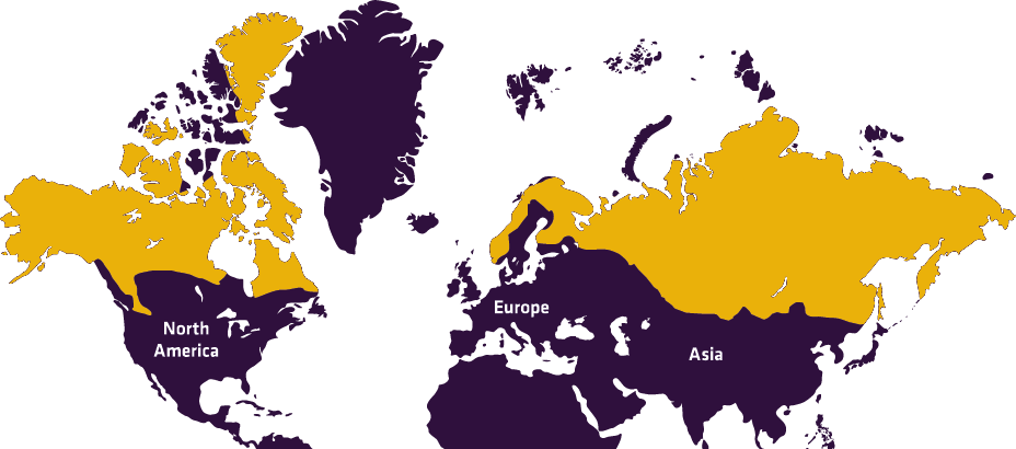 Distribution - North Korean Ministry Of Foreign Affairs (928x410), Png Download