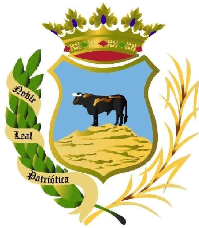 Comunicado Referente A La Cabalgata De Reyes Magos - Ayuntamiento De Montoro Cordoba (725x752), Png Download