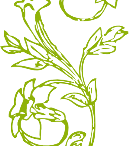 Drawn Vine Green Vine - Clip Art (640x480), Png Download