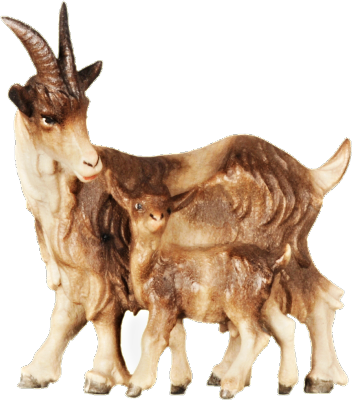 Goat Kid Png (800x800), Png Download