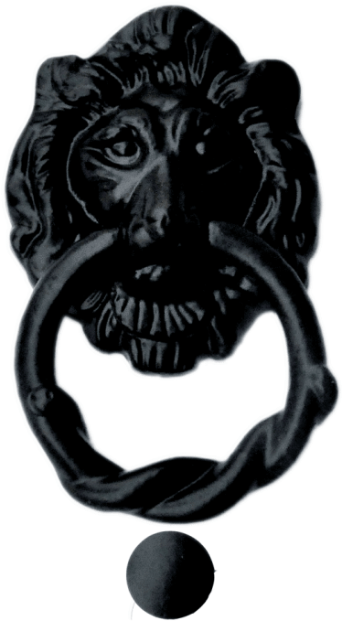 Lion Head Knocker - Lion (800x800), Png Download