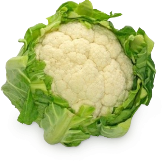 Cauliflower Png Free Image Download - Single Cauliflower (600x600), Png Download