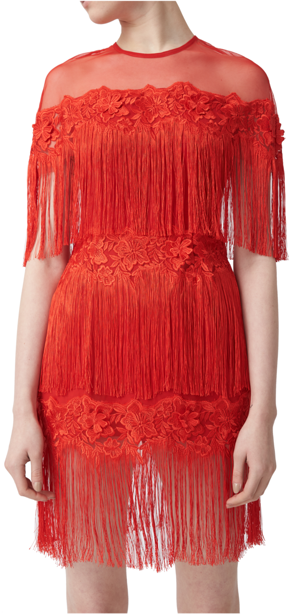 Aijek Olivia Tassel Lace Mini Dress - Gown (620x1435), Png Download