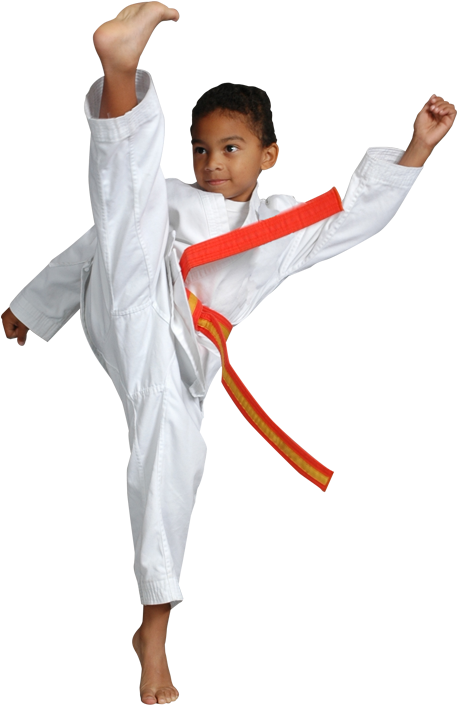 See What Parents In Laguna Beach, Ca Are Saying About - Taekwondo (480x704), Png Download