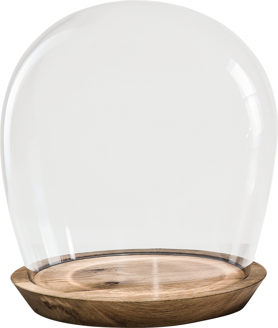 Glass Dome Hand Blown On Wood Base 43 Cm - Serving Tray (913x1080), Png Download