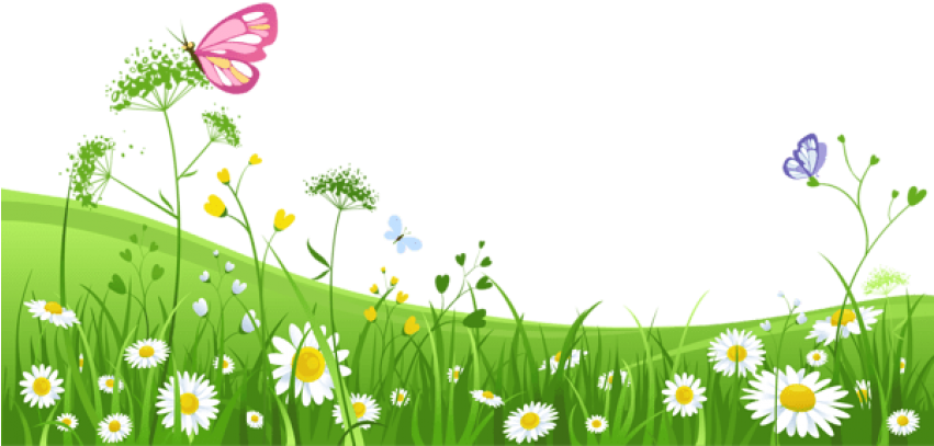Free Png Download Grass With Butterfliespicture Png - Green Grass With Flower Background Png (850x457), Png Download