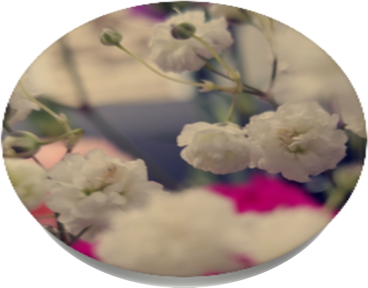 In A Field Of Flowers, - Hydrangea (989x1000), Png Download