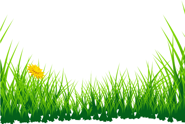 Meadow Clipart Blade Grass - Grass Images Png Hd (640x480), Png Download