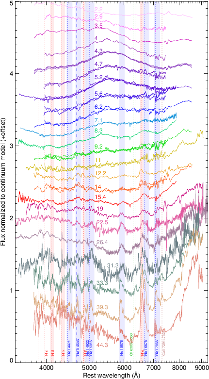 Sequence Showing A Subset Of Our Spectra After Division - Art (432x792), Png Download
