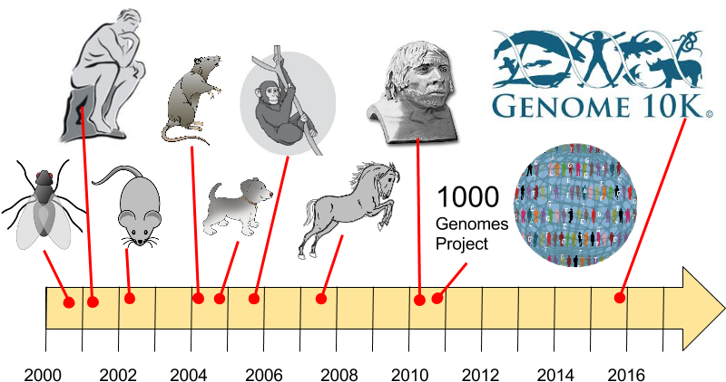 Since The Human Genome Project There Have Been An Explosion - Human Genome Project Model Organism (822x443), Png Download