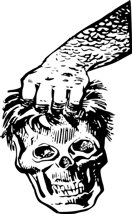 Human Skull Symbolism Human Head Face Human Skeleton - Skull (464x750), Png Download