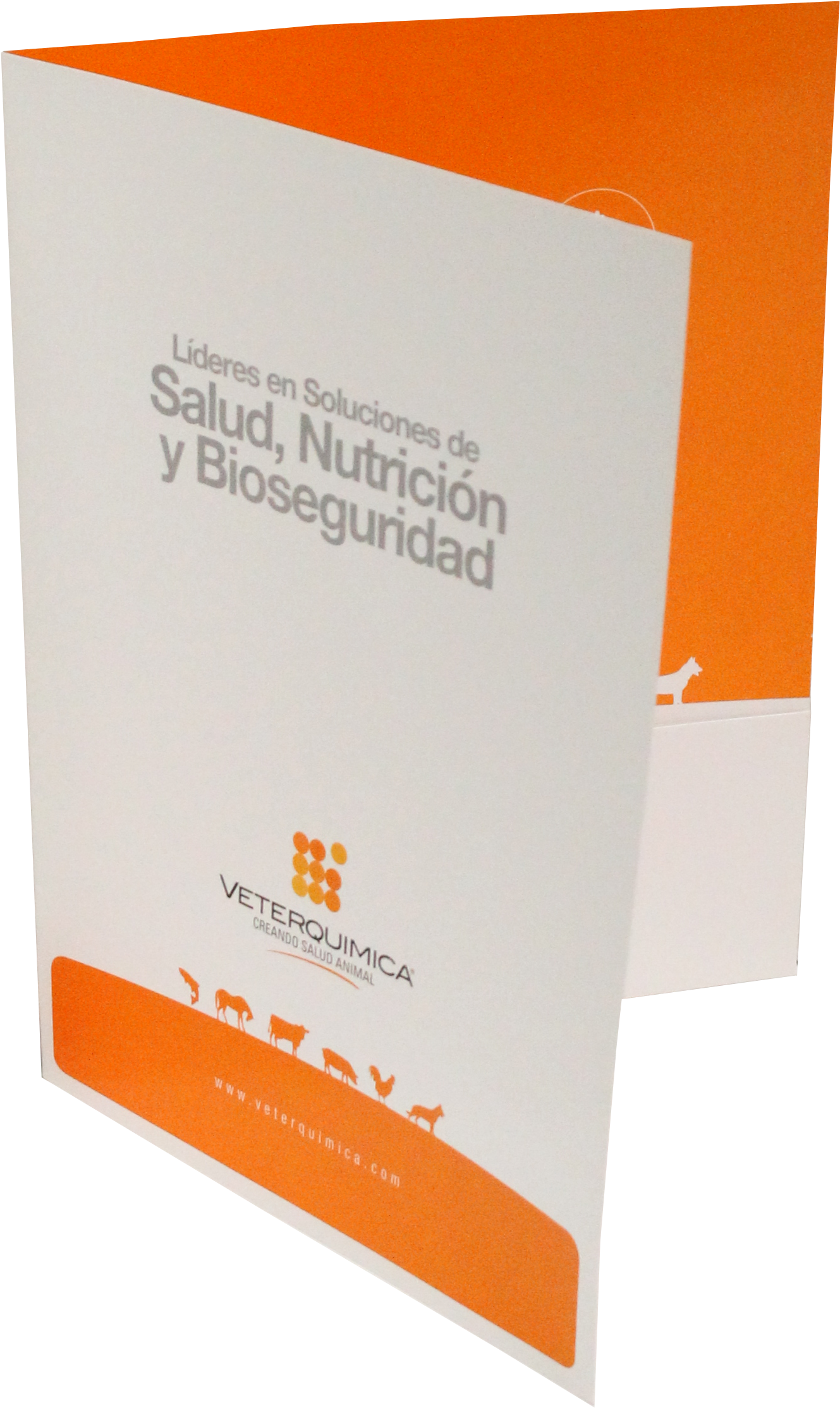 Carpetas - Paper (1811x2619), Png Download