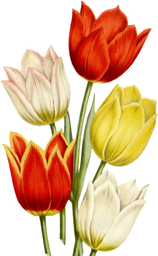 Mq Sticker - Painting (1024x1024), Png Download