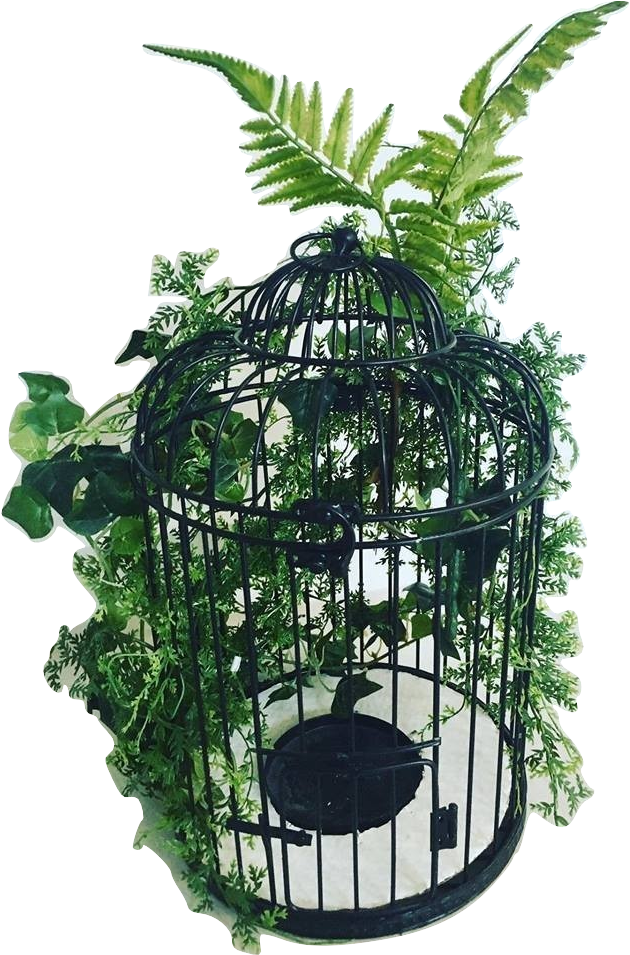 Black Birdcage Wishing Well - Cage (691x960), Png Download