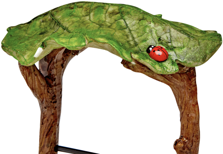 Fairy Wishing Well - Red-eyed Tree Frog (1024x660), Png Download