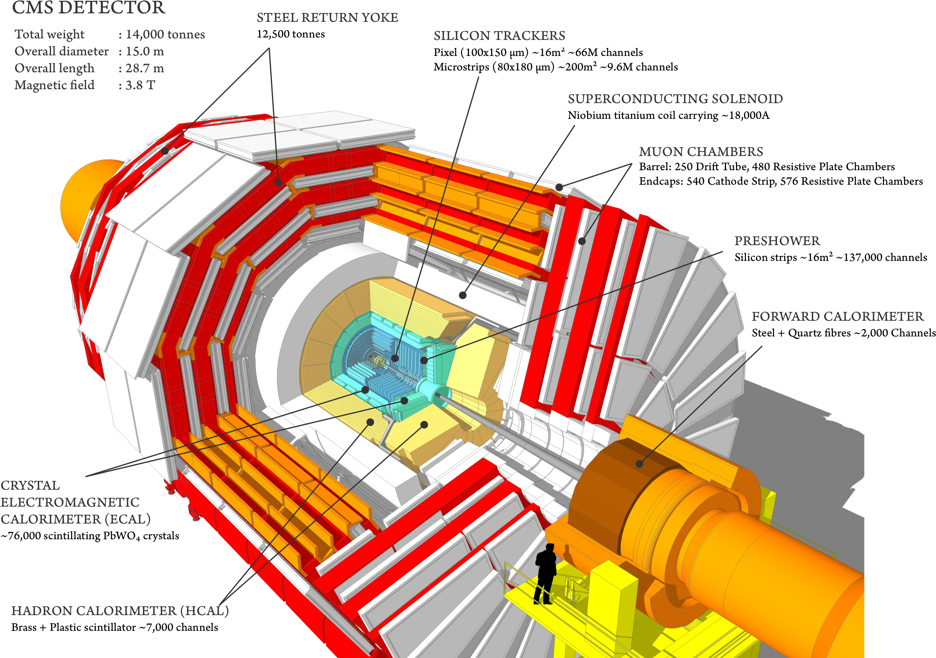 Cms 160312 02 - Main Component Of Cms Detector (3178x2245), Png Download