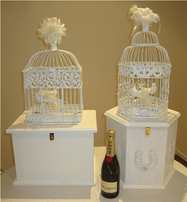 Sydney Eastern Suburbs Event Wishing Well Hire - Cage (869x700), Png Download