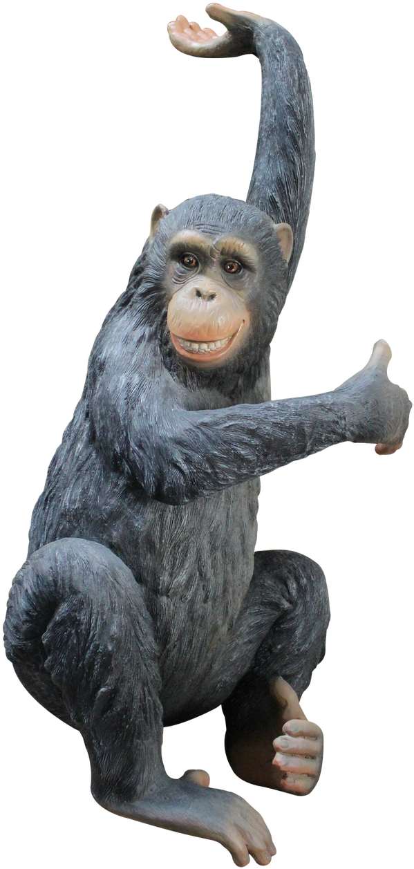 Common Chimpanzee (854x1280), Png Download