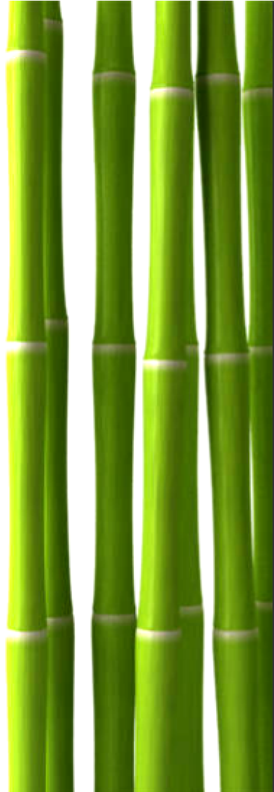 Bamboo Png, Download Png Image With Transparent Background, - Imagen Bamboo Spa Png (400x1124), Png Download