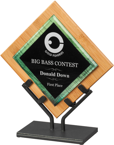 Colored Acrylic Bamboo Award - Acrylic Paint (580x580), Png Download