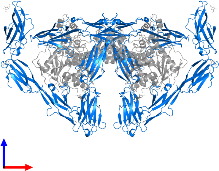 <div Class='caption-body'>pdb Entry 5oj6 Contains 2 - Graphic Design (800x800), Png Download