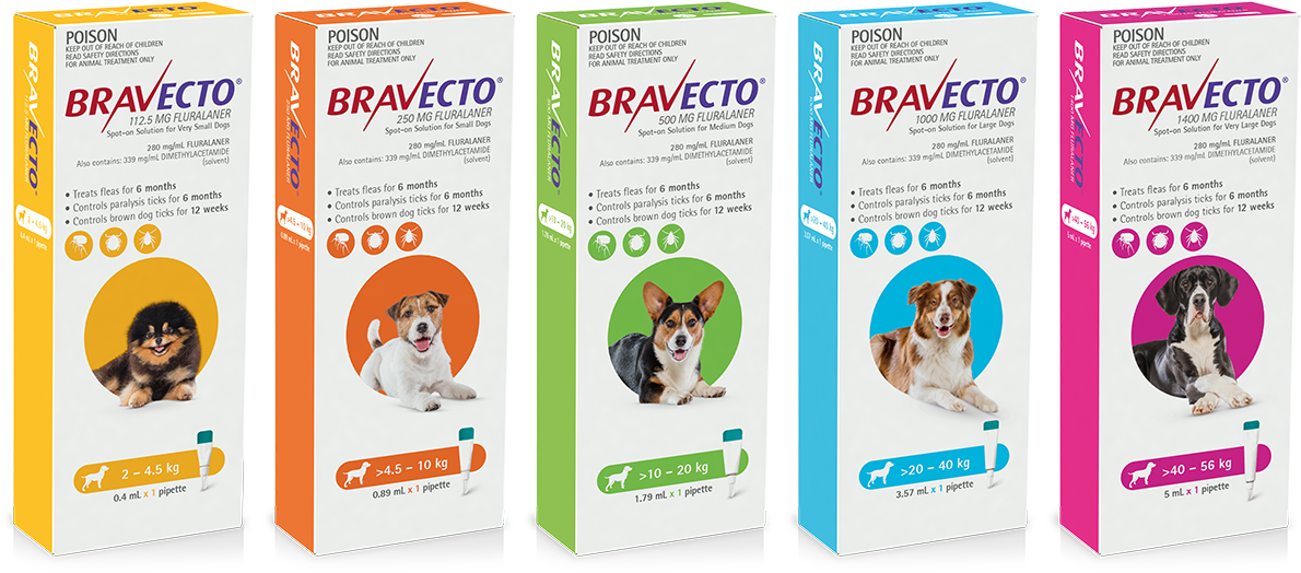 One Dose Provides 6 Months Protection Against Fleas - Bravecto Spot On Dog (1000x501), Png Download