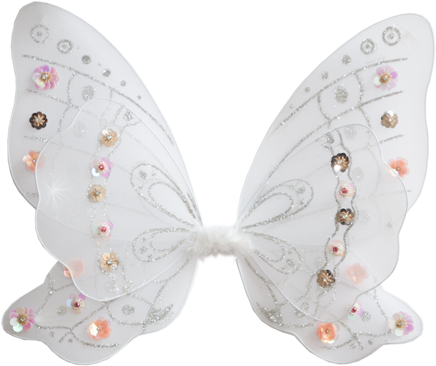 Butterfly (1000x1000), Png Download