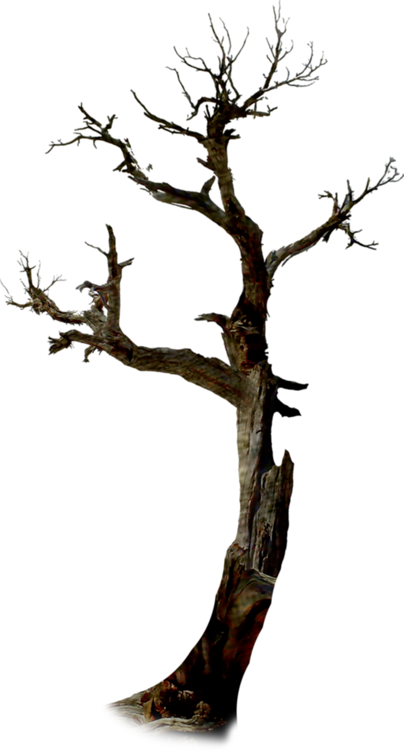 Image Royalty Free Library Twig The Tree Clip Art Dead - Arbre Halloween Png (800x1489), Png Download