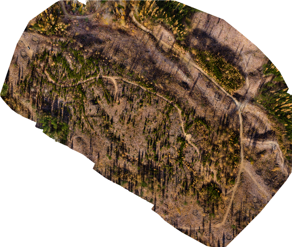 Preview - Outcrop (1024x867), Png Download